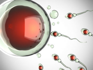 How to Produce Stronger Sperm for Pregnancy Fast