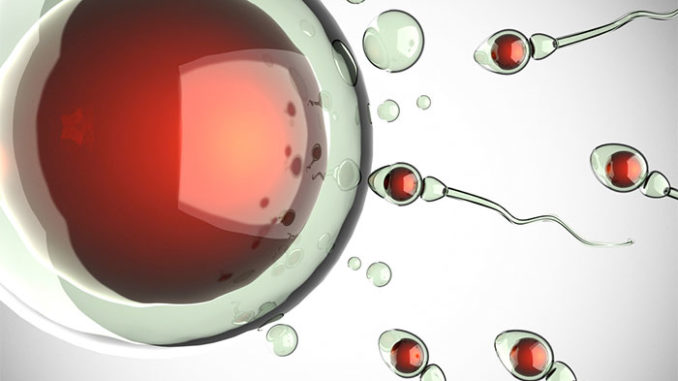 How to Produce Stronger Sperm for Pregnancy Fast