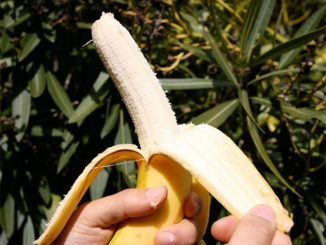 Eat 1 Banana a Day Beat Erectile Dysfunction