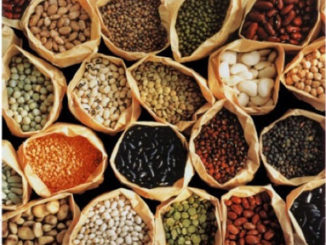 Beans and Lentils Proteins Treat Erectile Dysfunction