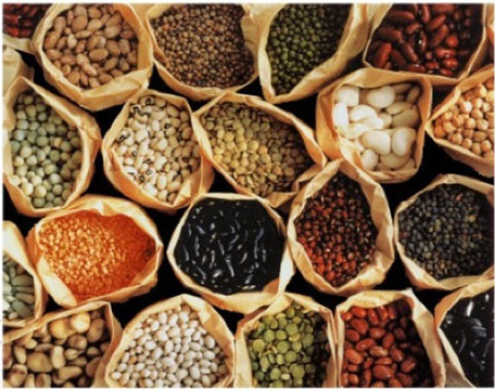 Beans and Lentils Proteins Treat Erectile Dysfunction