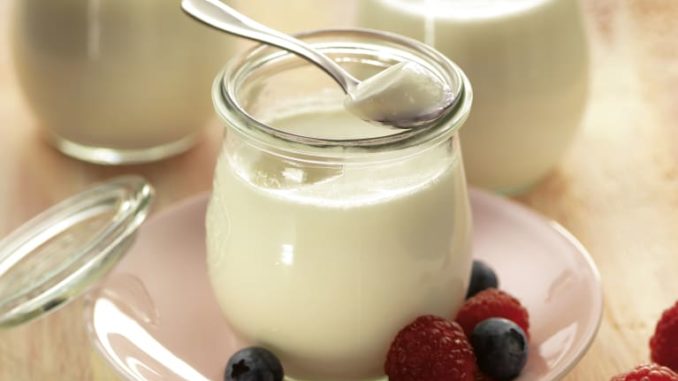 Plain Yogurt and Erectile Dysfunction (Proteins)